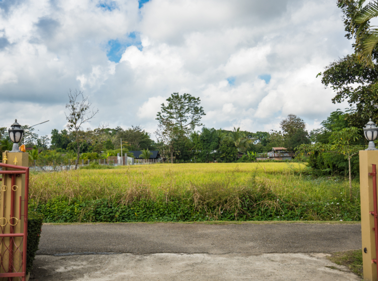 4 Bedroom House For Sale in Suthep, Mueang Chiang Mai, Chiang Mai - Image 14