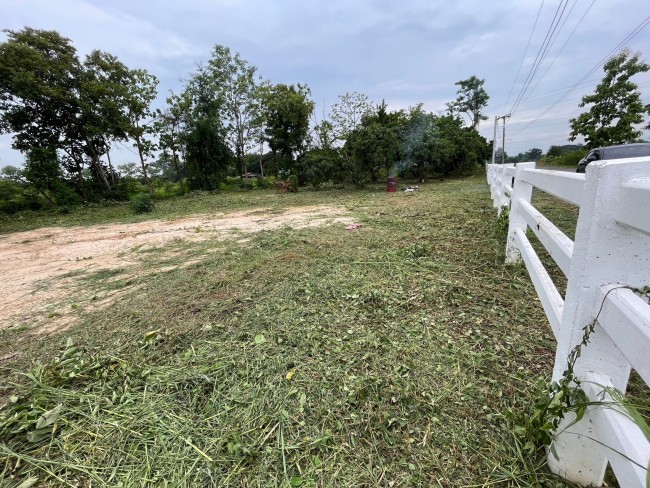  Land For Sale in Tha Sala, Mueang Chiang Mai, Chiang Mai - Image 2