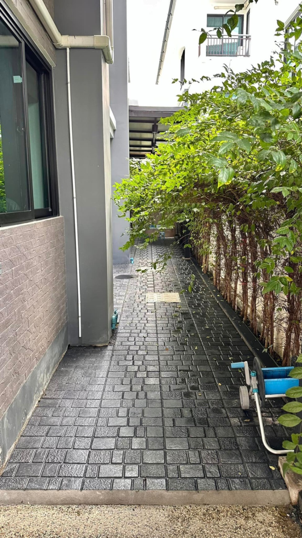 5 ห้องนอน บ้านเดี่ยว สำหรับขาย ใน ดอกไม้, ประเวศ, กรุงเทพมหานคร - Image 27
