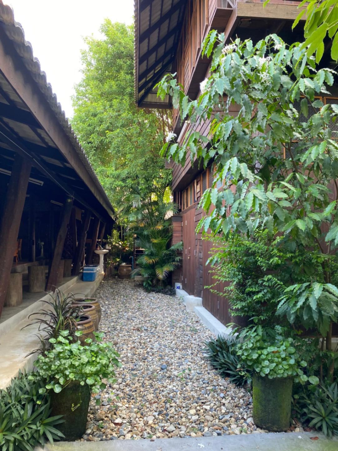  Retail Space For Sale in San Phisuea, Mueang Chiang Mai, Chiang Mai - Image 17