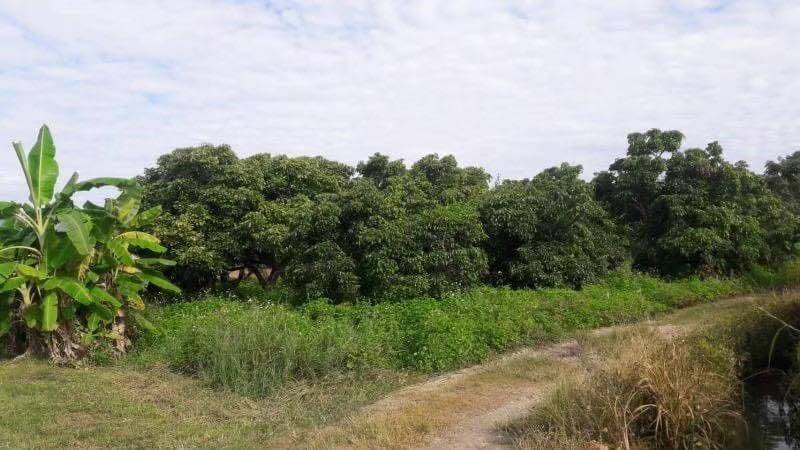  Land For Sale in Mae Win, Mae Wang, Chiang Mai - Image 1
