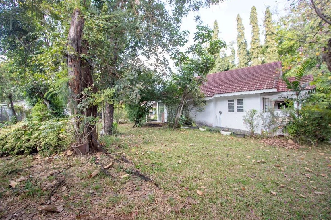  Land For Sale in Suthep, Mueang Chiang Mai, Chiang Mai - Image 2