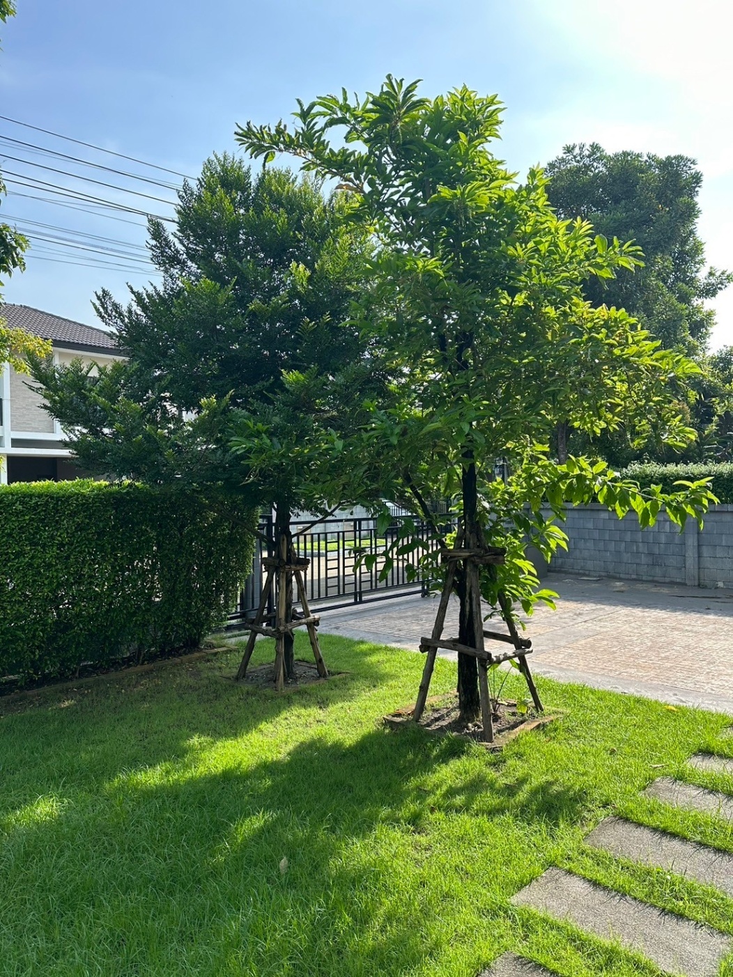 เดอะ ซิตี้ พัฒนาการ - Image 4