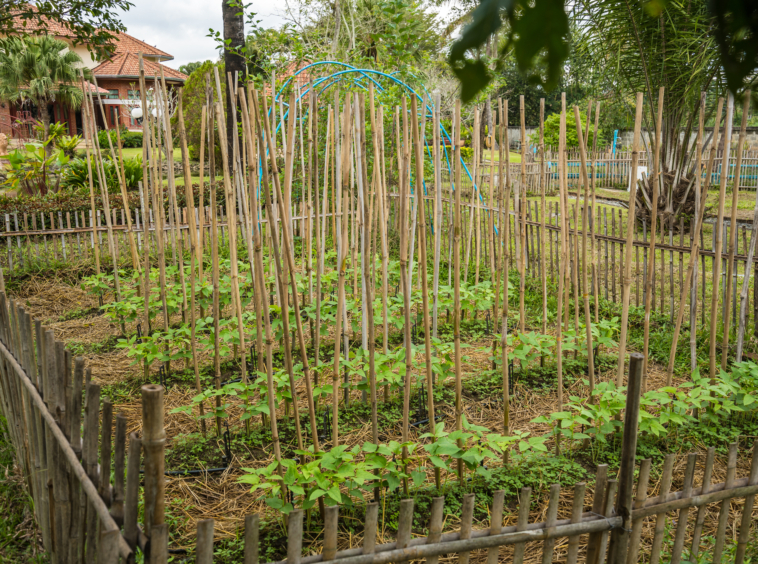 4 Bedroom House For Sale in Suthep, Mueang Chiang Mai, Chiang Mai - Image 11