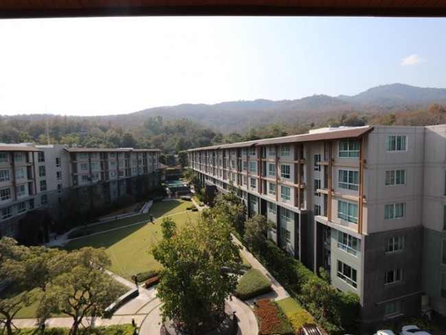 DCondo Campus Resort  - Image 9