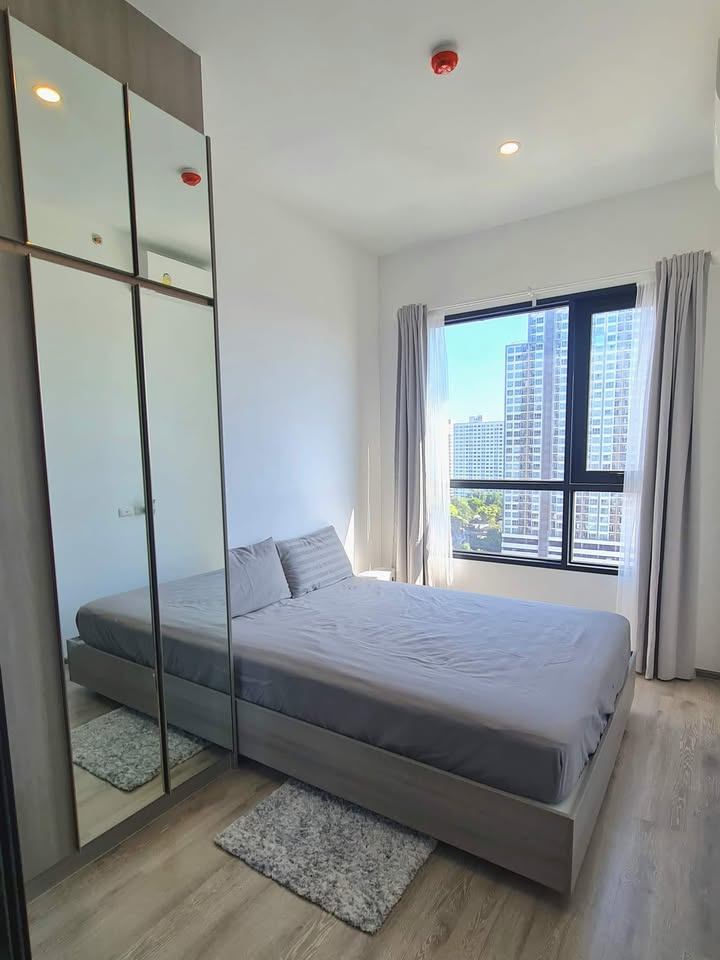 Knightsbridge Prime Onnut - Image 2