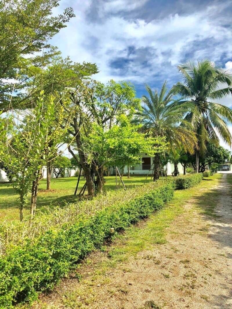3 Bedroom House For Sale in On Nuea, Mae On, Chiang Mai - Image 3
