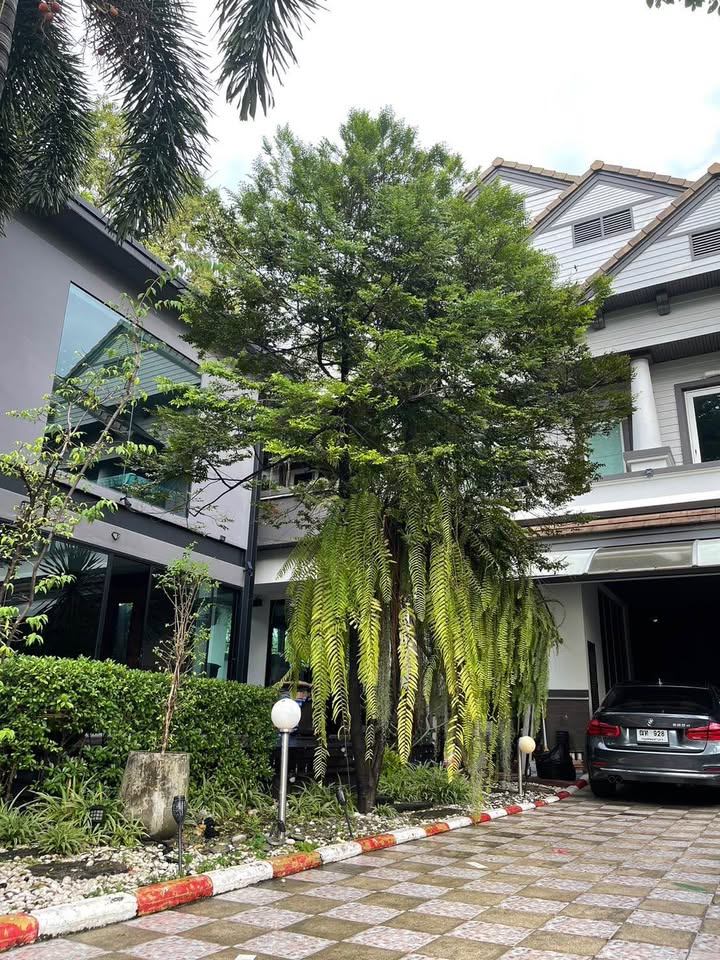 5 ห้องนอน บ้านเดี่ยว สำหรับขาย ใน ประเวศ, ประเวศ, กรุงเทพมหานคร - Image 41