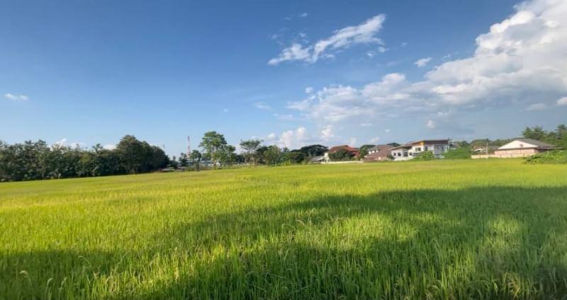  Land For Sale in San Sai Luang, San Sai, Chiang Mai - Image 2