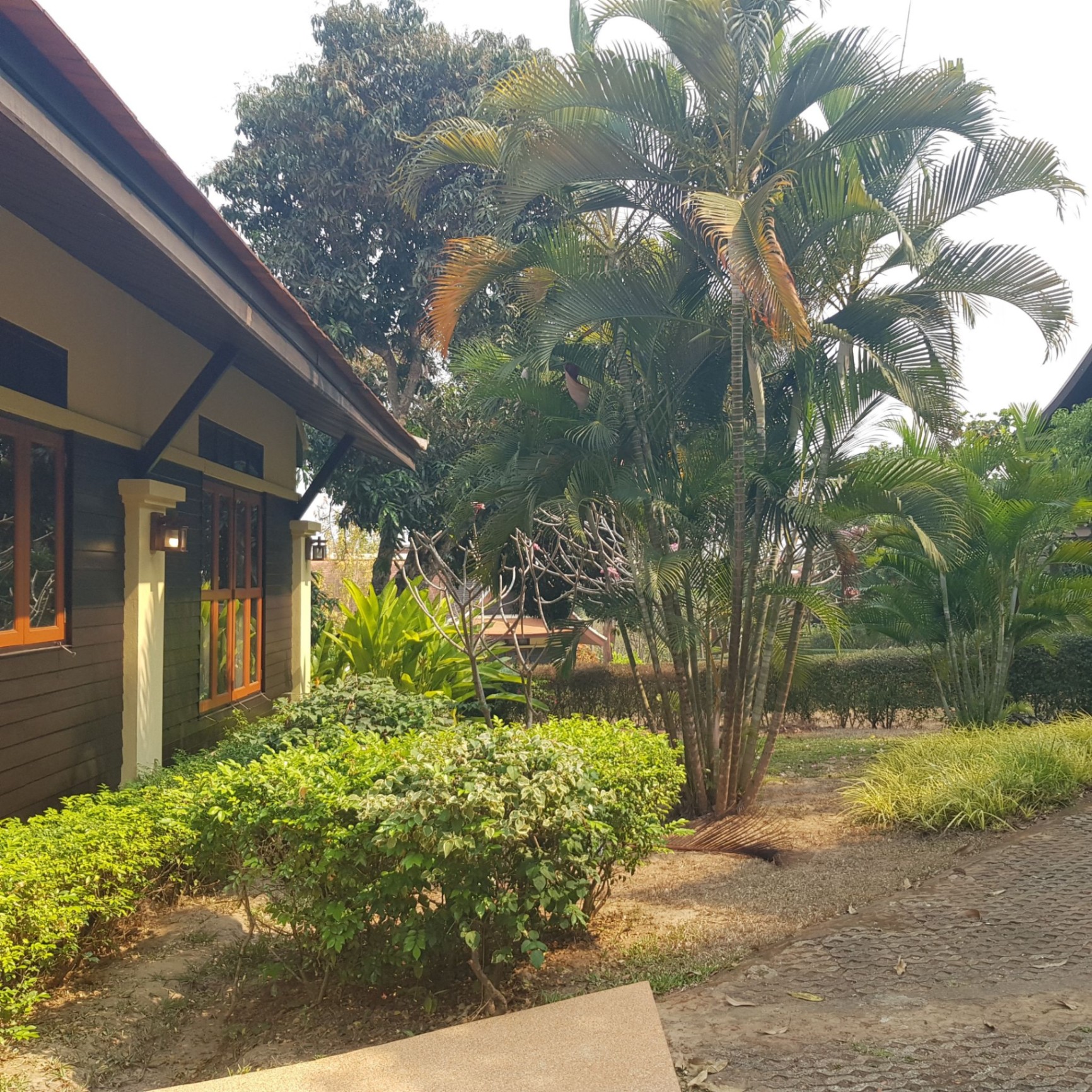 Pavana Resort - Image 14