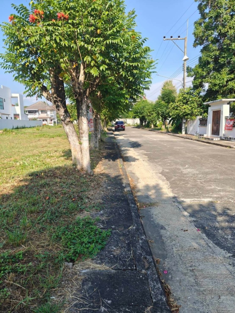  Land For Sale in Nong Khwai, Hang Dong, Chiang Mai - Image 4