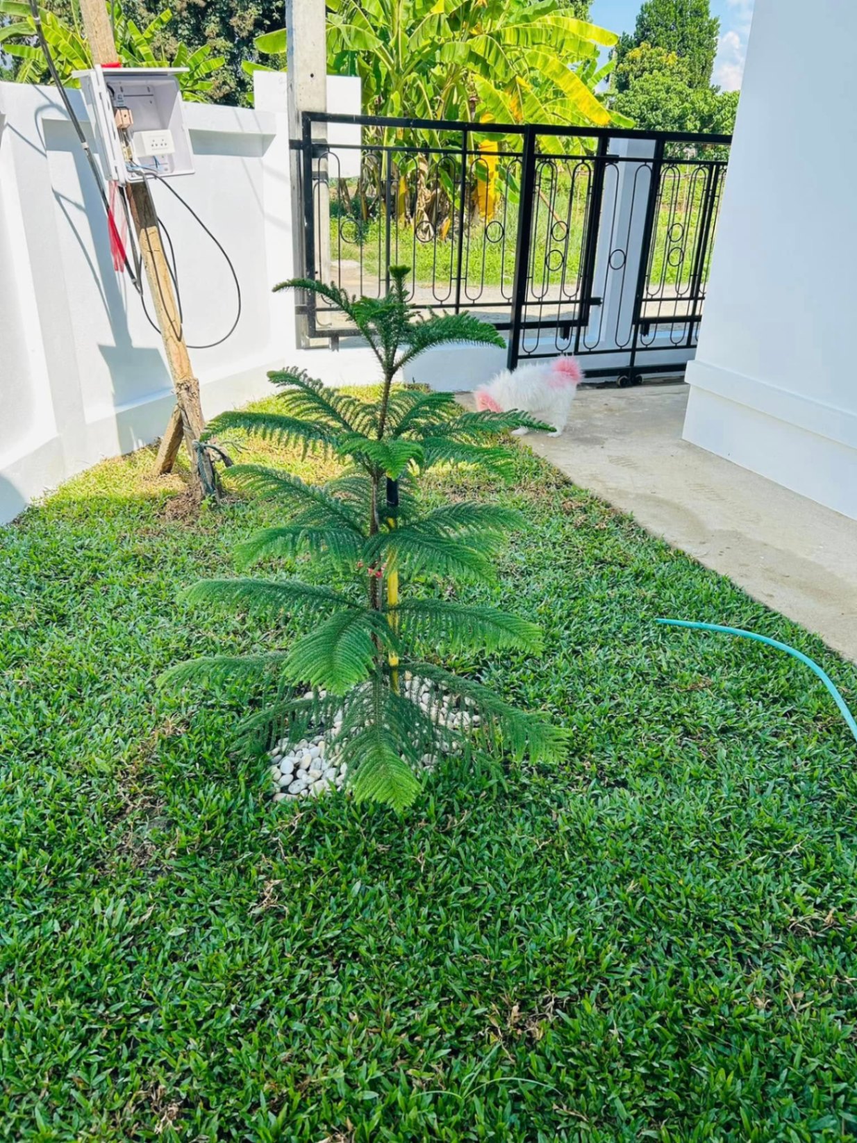 3 Bedroom House For Sale in Mueang Kaeo, Mae Rim, Chiang Mai - Image 9