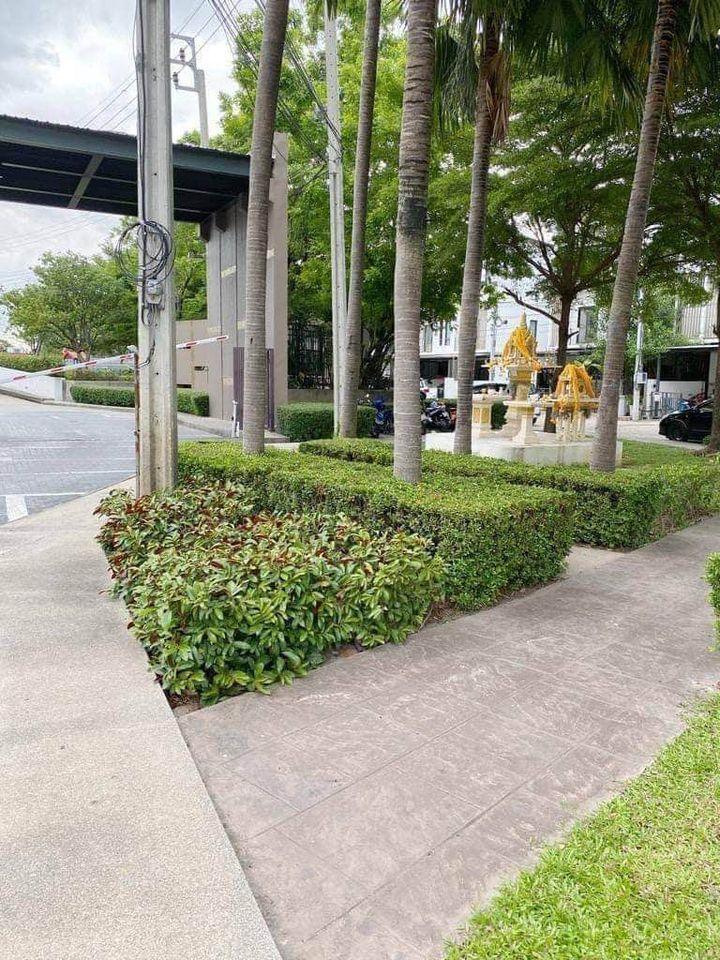 Patio Srinakarin - Rama 9 - Image 10