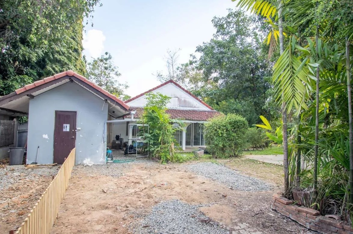  Land For Sale in Suthep, Mueang Chiang Mai, Chiang Mai - Image 5