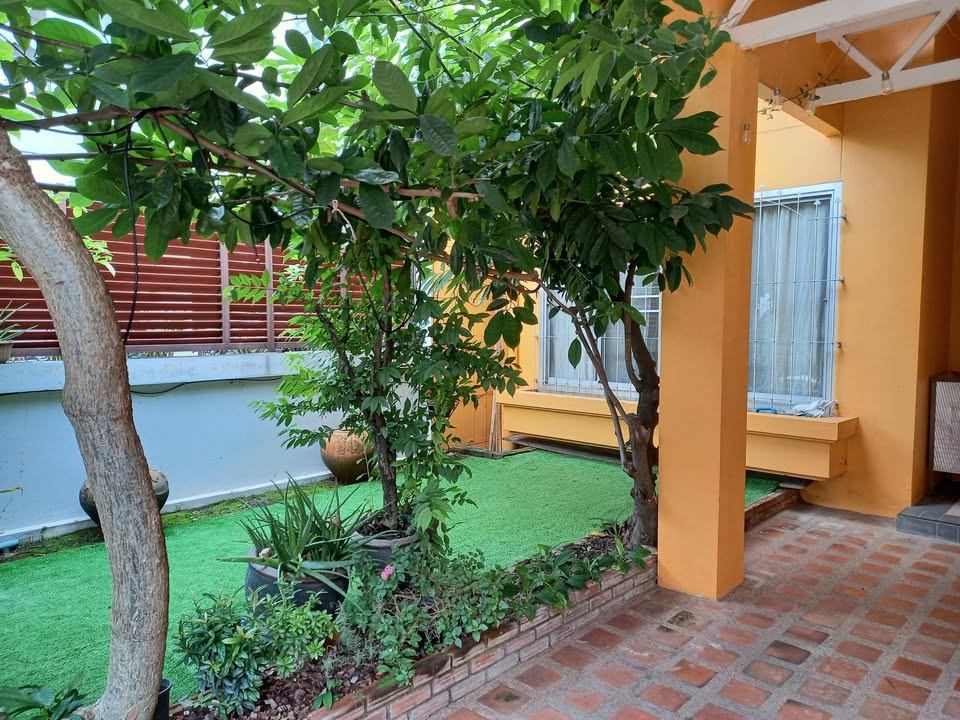 World Club Land - Image 16