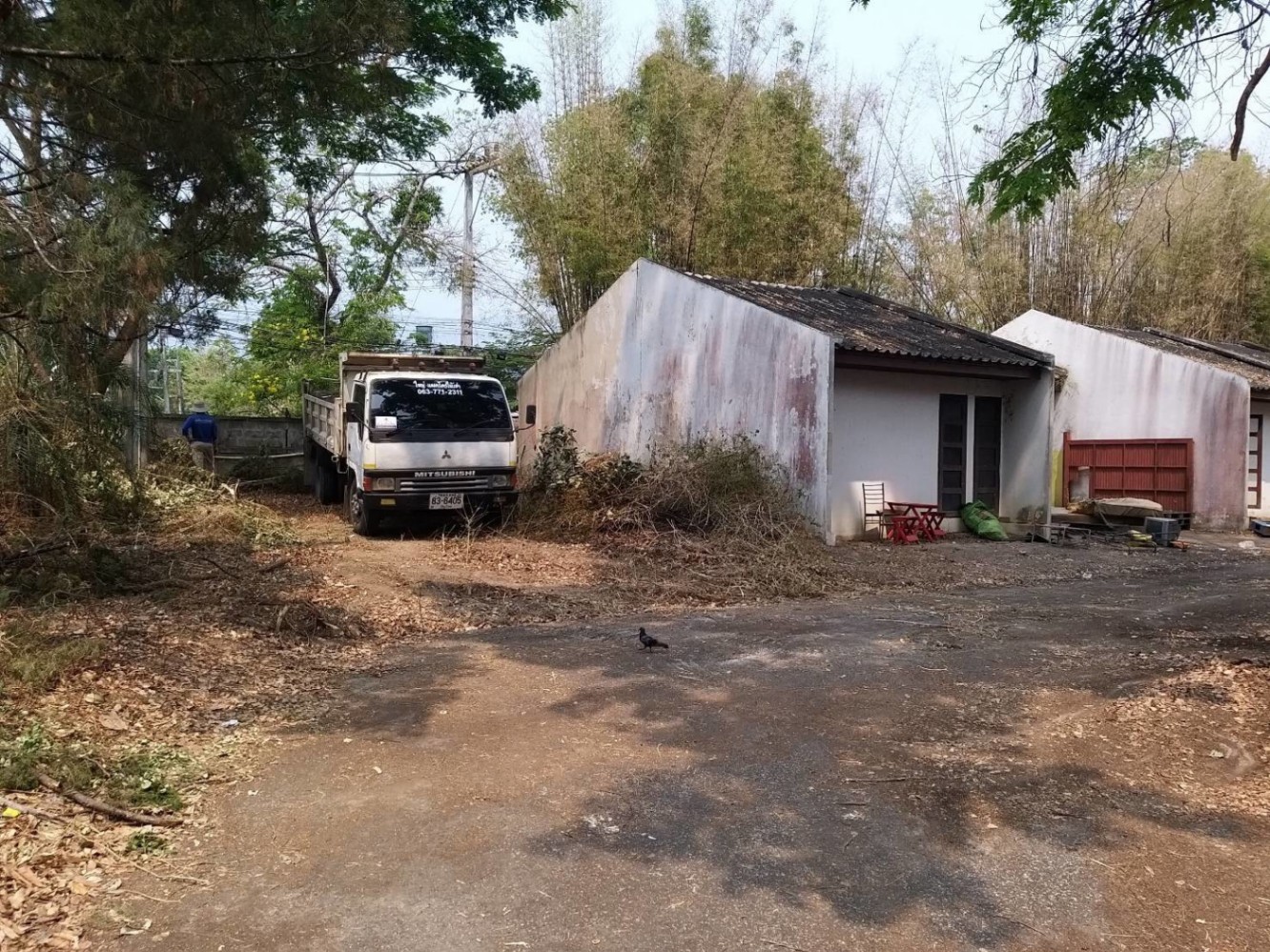  Land For Sale in Don Kaeo, Mae Rim, Chiang Mai - Image 6