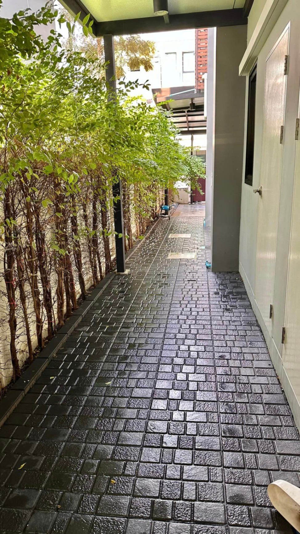 5 ห้องนอน บ้านเดี่ยว สำหรับขาย ใน ดอกไม้, ประเวศ, กรุงเทพมหานคร - Image 24