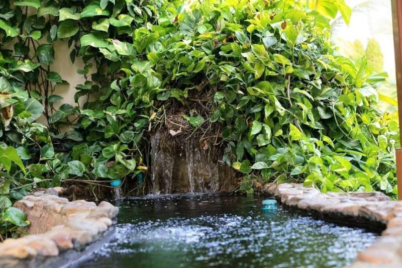 6 Bedroom House For Sale in Saraphi, Saraphi, Chiang Mai - Image 10