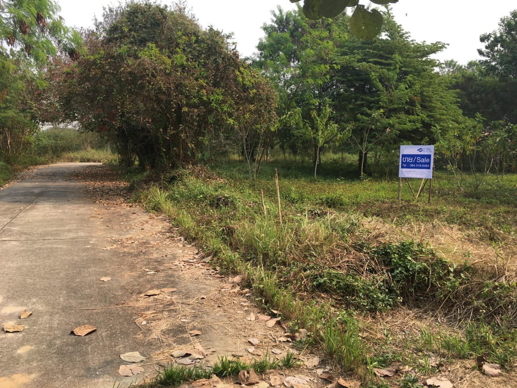  Land For Sale in Hang Dong, Hang Dong, Chiang Mai - Image 5