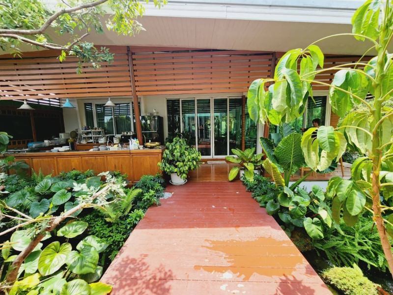 5 Bedroom House For Rent in Pa Daet, Mueang Chiang Mai, Chiang Mai - Image 15