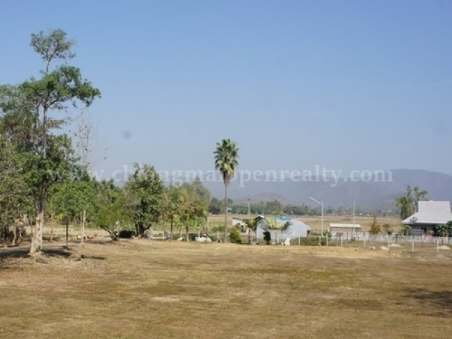  Land For Sale in Choeng Doi, Doi Saket, Chiang Mai - Image 14