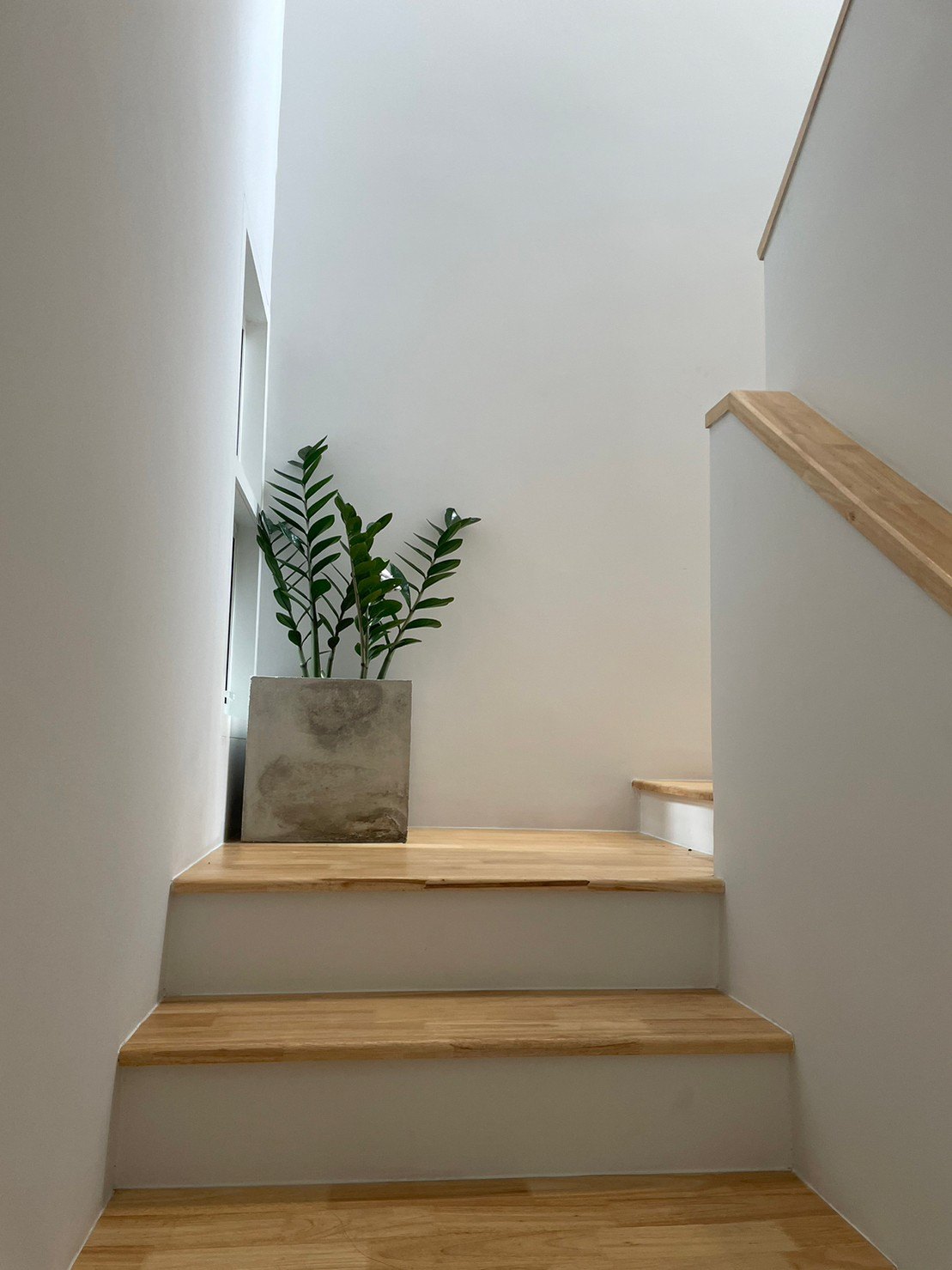 Holm - Image 7