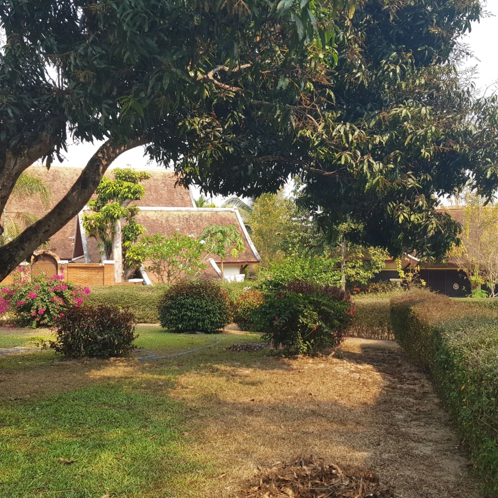 Pavana Resort - Image 16