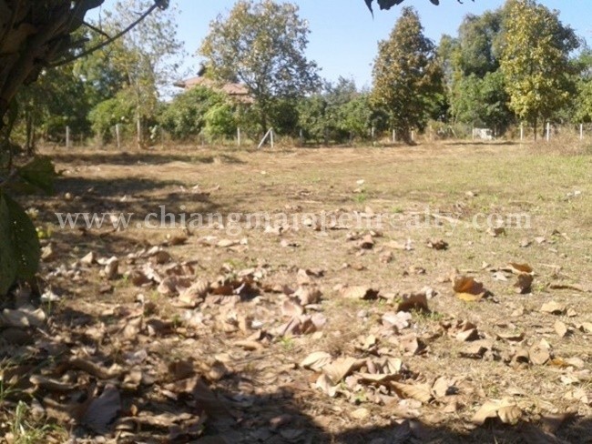  Land For Sale in Nam Phrae, Hang Dong, Chiang Mai - Image 1