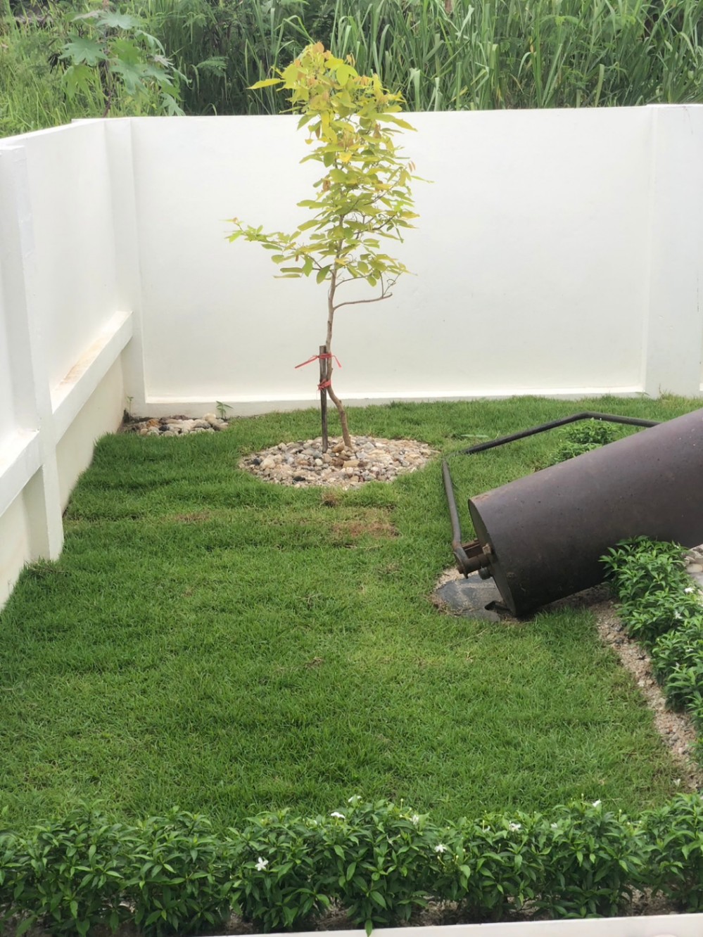 3 Bedroom House For Sale in Nong Chom, San Sai, Chiang Mai - Image 19