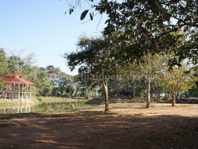  Land For Sale in Choeng Doi, Doi Saket, Chiang Mai - Image 6