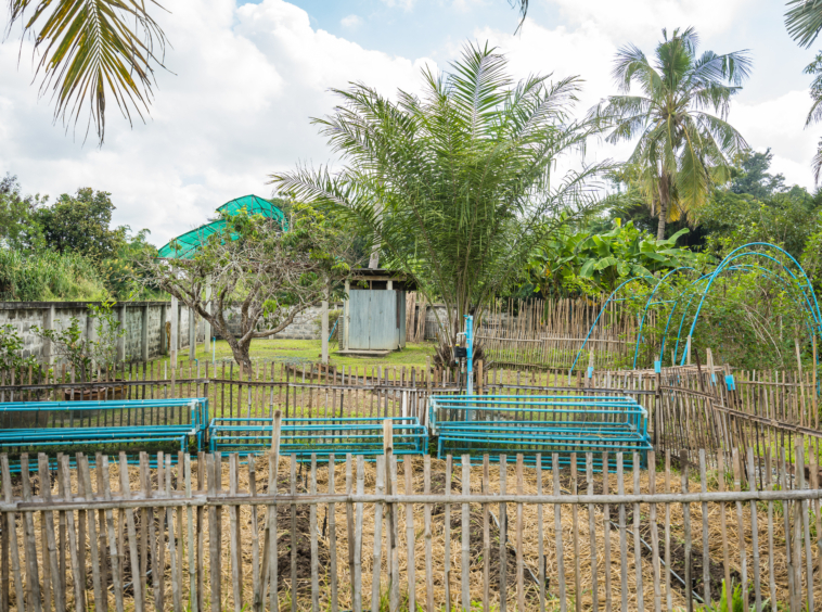 4 Bedroom House For Sale in Suthep, Mueang Chiang Mai, Chiang Mai - Image 12