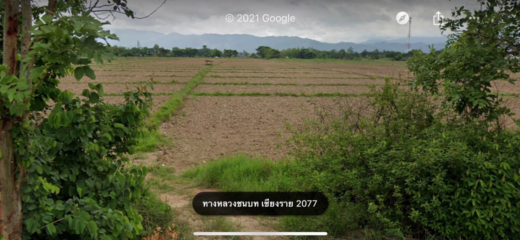  Land For Sale in Wiang, Mueang Chiang Rai, Chiang Rai - Image 4