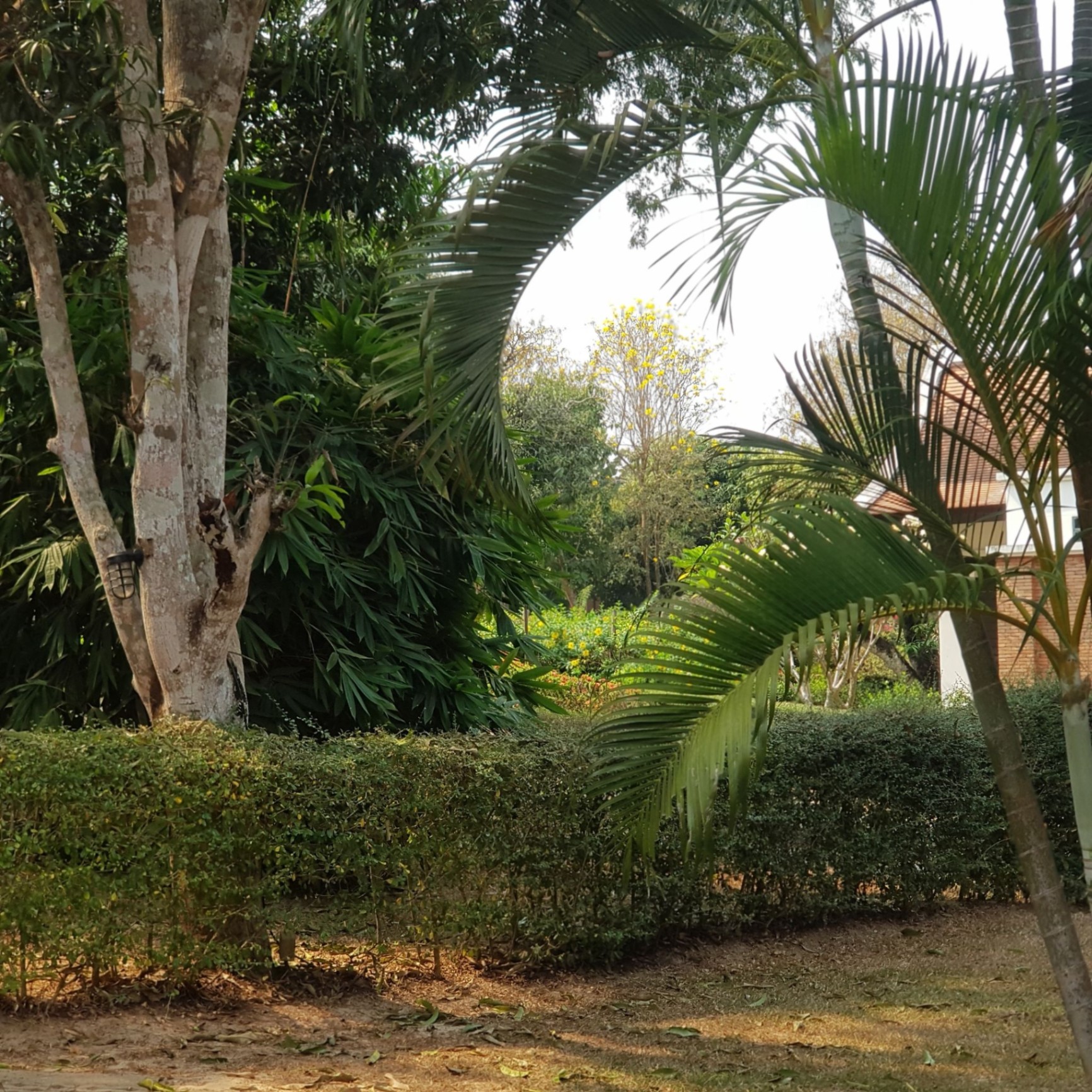 Pavana Resort - Image 13