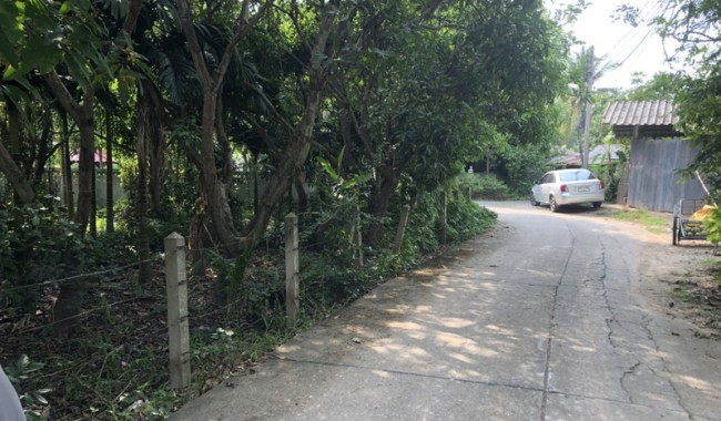  Land For Sale in Nong Han, San Sai, Chiang Mai - Image 4