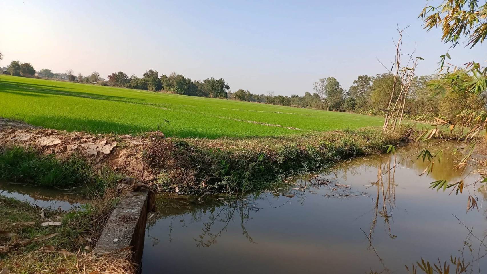  Land For Sale in Samran Rat, Doi Saket, Chiang Mai - Image 9