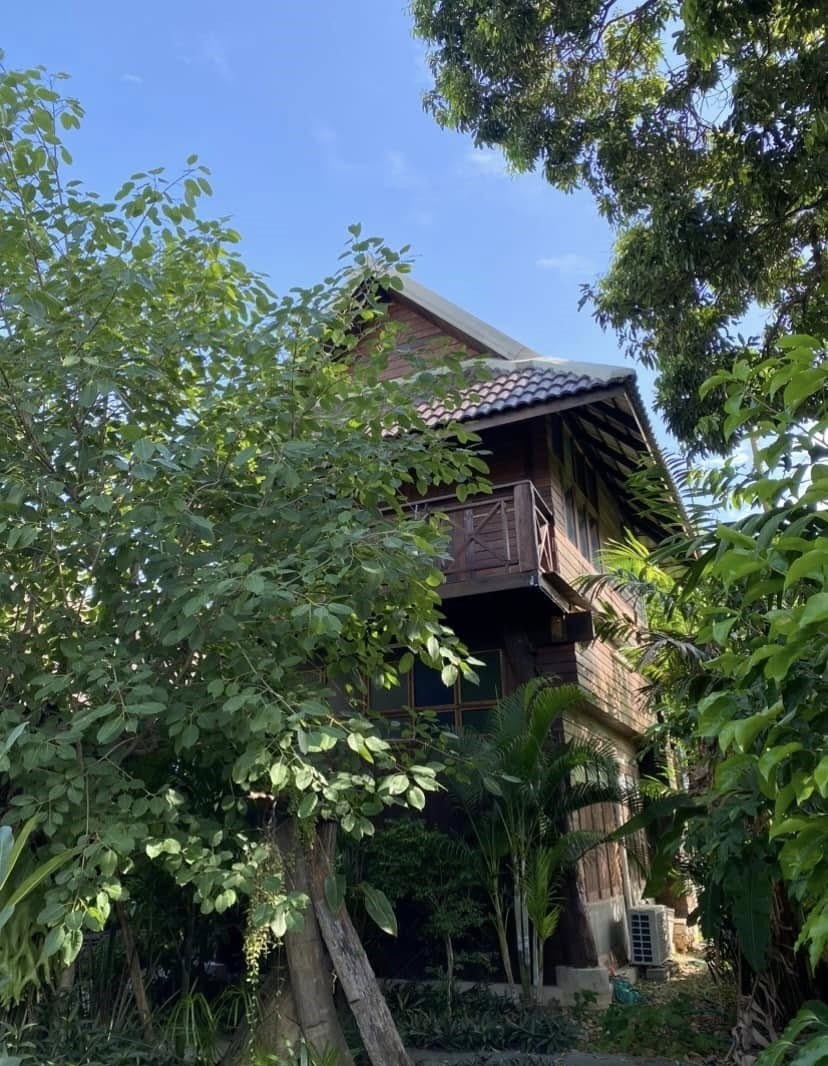  Retail Space For Sale in San Phisuea, Mueang Chiang Mai, Chiang Mai - Image 4