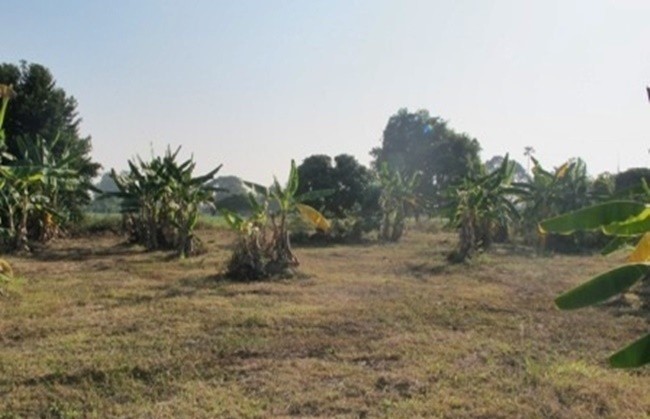  Land For Sale in Mae Raem, Mae Rim, Chiang Mai - Image 1