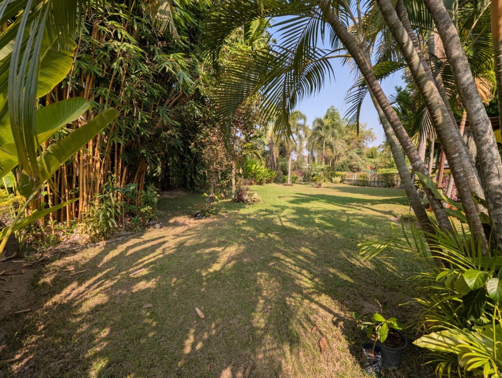 3 Bedroom House For Sale in Choeng Doi, Doi Saket, Chiang Mai - Image 14