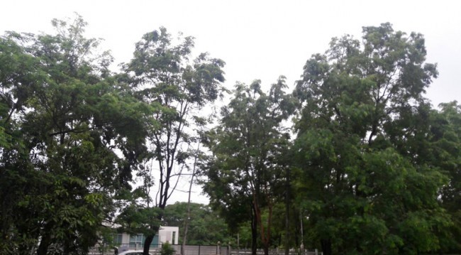 Land For Sale in Hang Dong, Hang Dong, Chiang Mai - Image 5