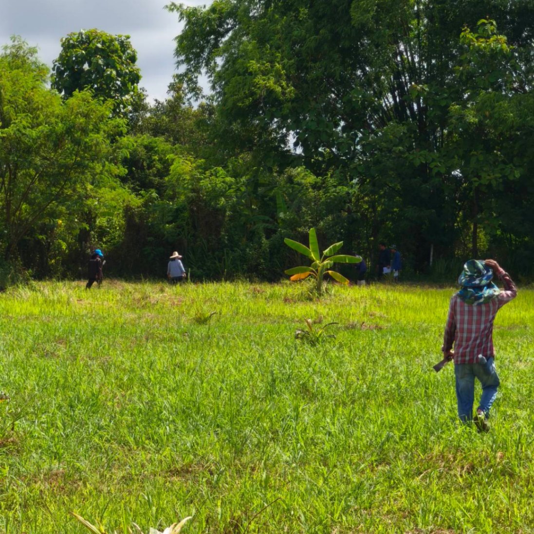  Land For Sale in Ban Waen, Hang Dong, Chiang Mai - Image 2