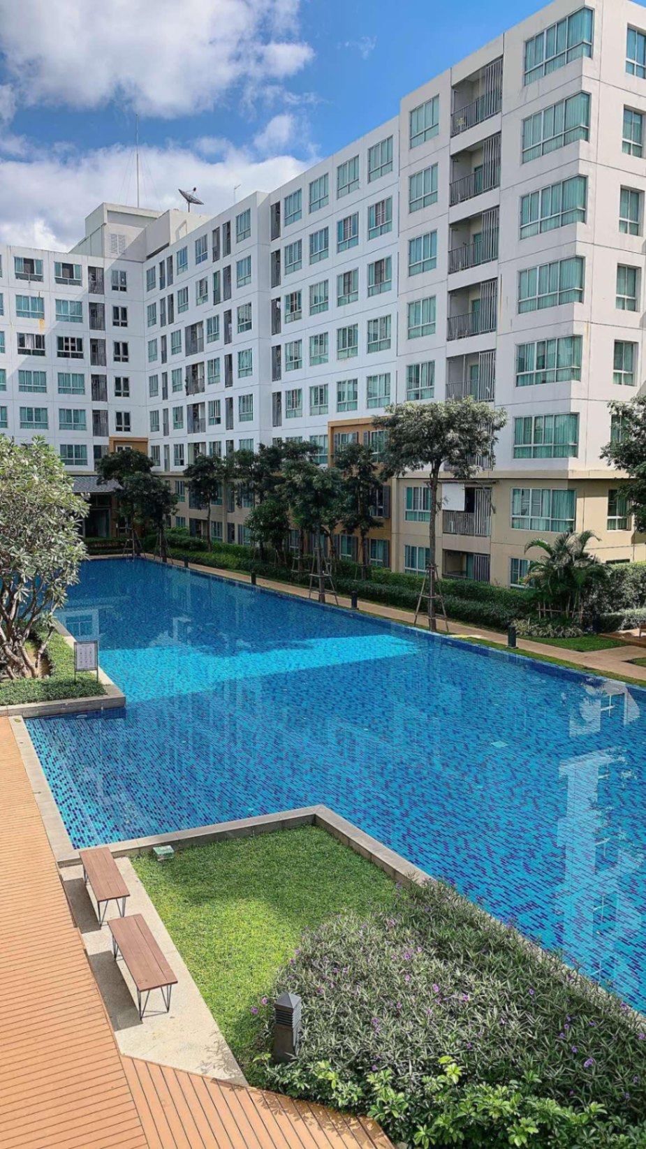 DCondo Nim - Image 7
