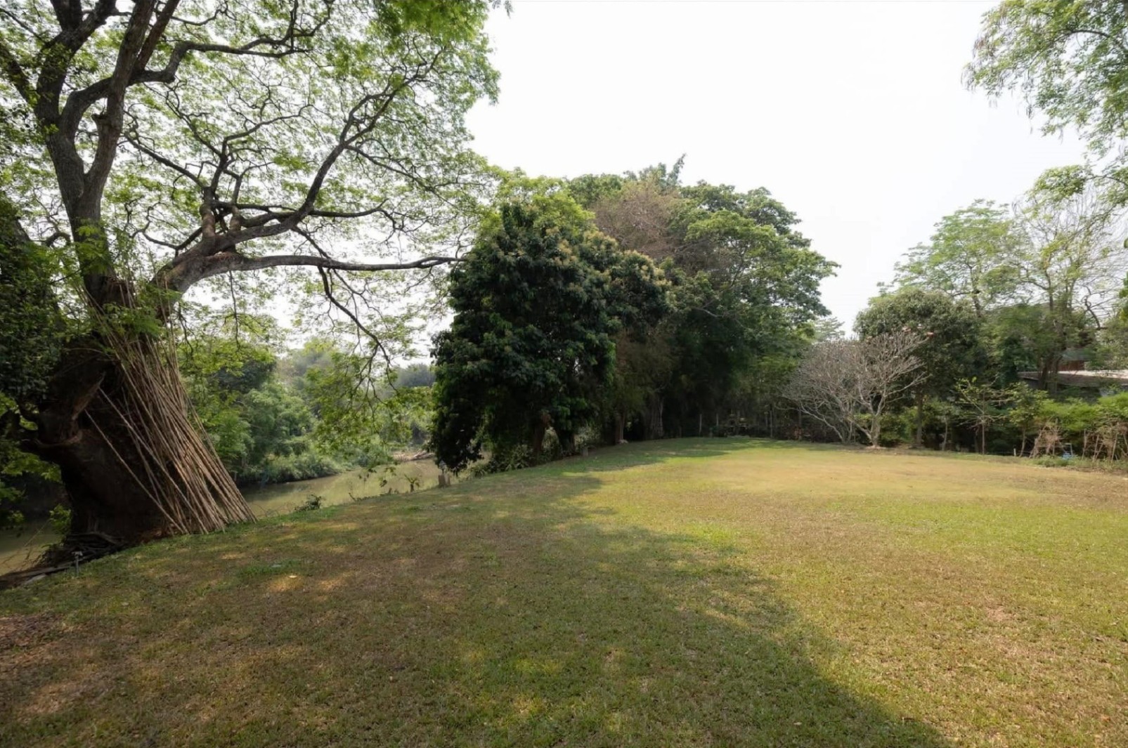 6 Bedroom House For Sale in Pa Daet, Mueang Chiang Mai, Chiang Mai - Image 26