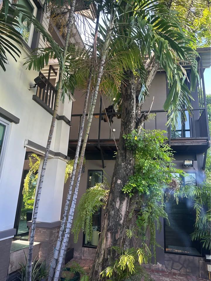5 ห้องนอน บ้านเดี่ยว สำหรับขาย ใน ประเวศ, ประเวศ, กรุงเทพมหานคร - Image 39
