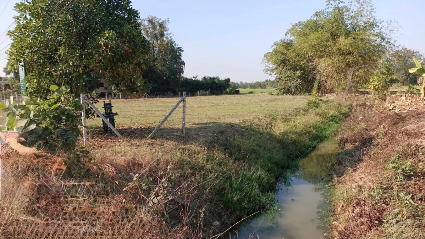  Land For Sale in Samran Rat, Doi Saket, Chiang Mai - Image 4