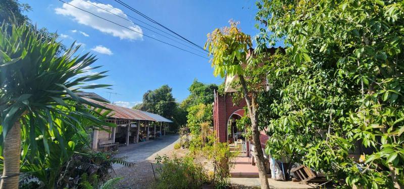 2 Bedroom House For Sale in Si Phum, Mueang Chiang Mai, Chiang Mai - Image 9