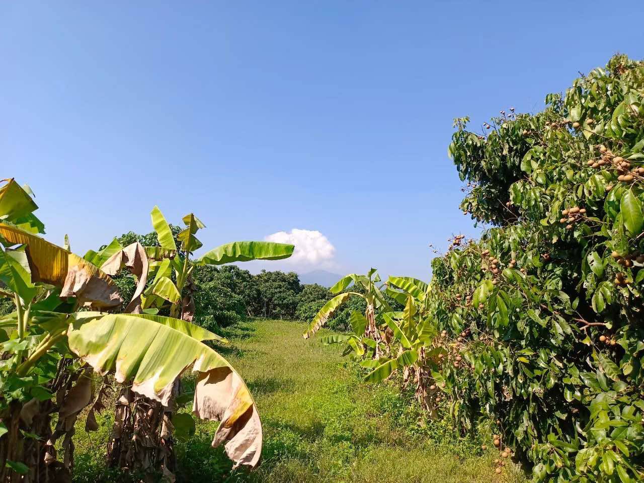  Land For Sale in Mae Win, Mae Wang, Chiang Mai - Image 3