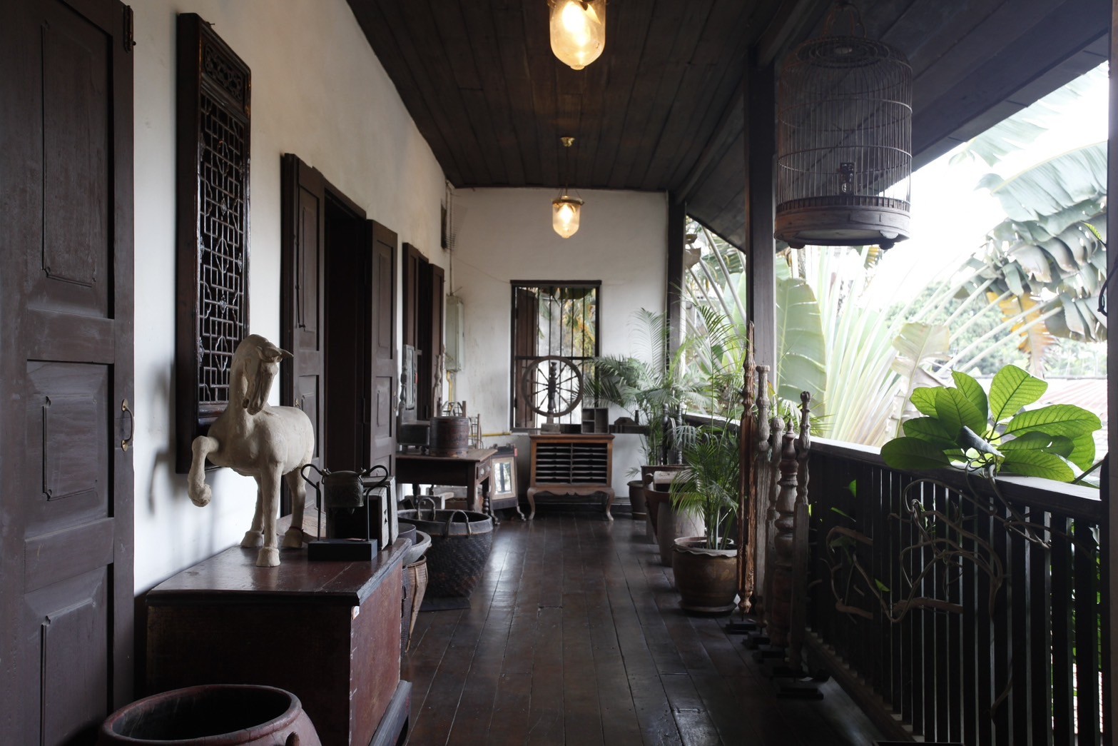  Retail Space For Sale in Wat Ket, Mueang Chiang Mai, Chiang Mai - Image 8