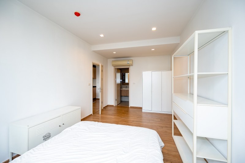 Hasu Haus - Image 7