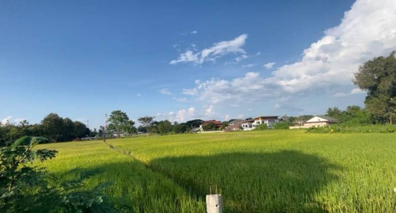  Land For Sale in San Sai Luang, San Sai, Chiang Mai - Image 4