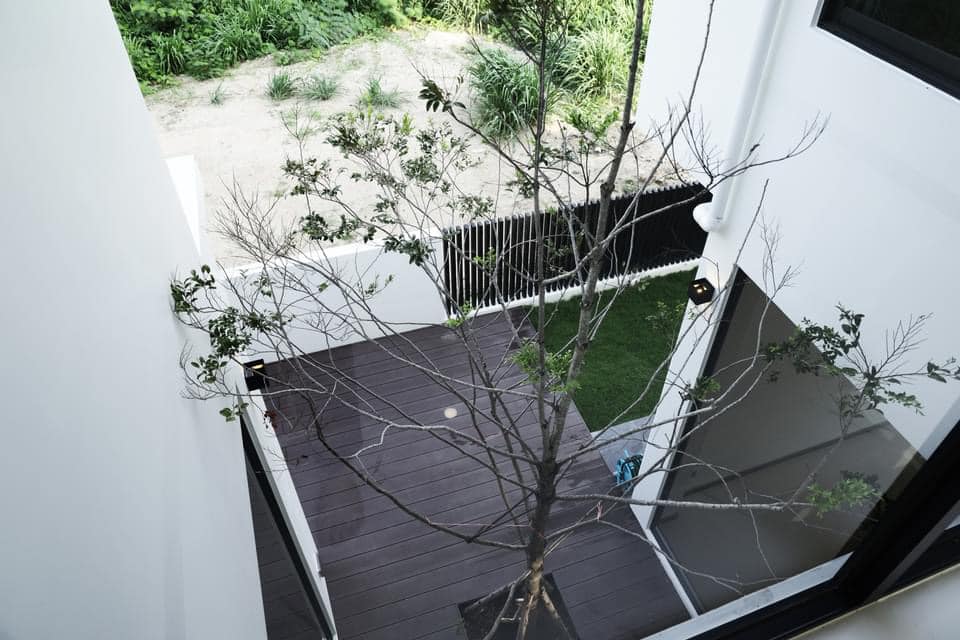Chayayon - Image 4